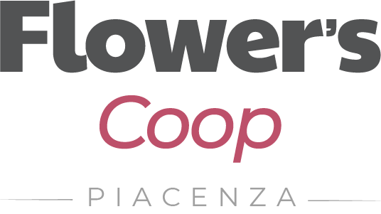 Flower's 2000 Piacenza Logo